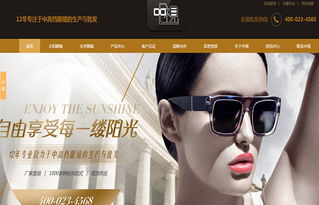 廣州中視眼鏡營銷型網(wǎng)站建設(shè)案例 構(gòu)建線上視力健康門戶，驅(qū)動眼鏡銷售增長
